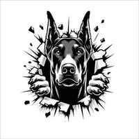 AI generated Dobermann Dog looking breaks through a breakthrough wall Vector