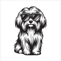 AI generated black and white Havanese Dog wearing sunglasses illustration vector