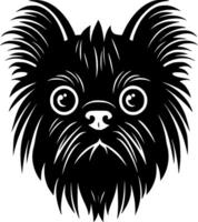 Affenpinscher, Black and White Vector illustration