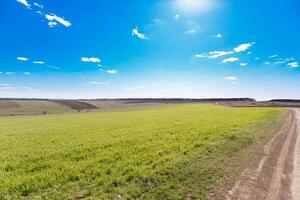 spring grass field and mountains, beautiful background, green grass, beautiful sky over the field photo