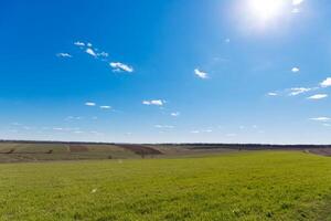 spring grass field and mountains, beautiful background, green grass, beautiful sky over the field photo