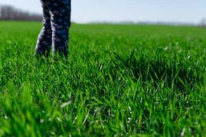 niños estar en un campo con verde césped, primavera foto