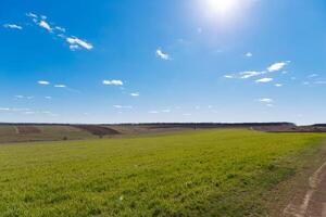 spring grass field and mountains, beautiful background, green grass, beautiful sky over the field photo