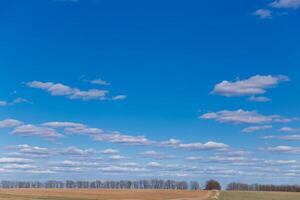 primavera césped campo y montañas, hermosa fondo, verde césped, hermosa cielo terminado el campo foto