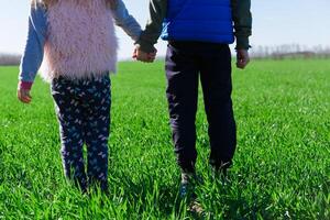 children stand on a field with green grass, spring photo