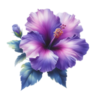 AI generated A hibiscus flower blooms. png