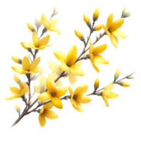 AI generated A forsythia flower branch bursts with bright yellow flowers png