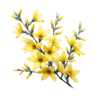 AI generated A forsythia flower branch bursts with bright yellow flowers png