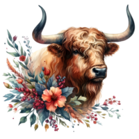 AI generated Highland cow with long horns grazes in a meadow png