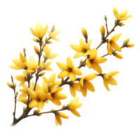 ai gerado uma forsítia flor ramo rajadas com brilhante amarelo flores png