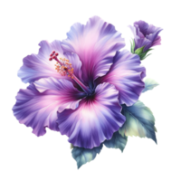 AI generated A hibiscus flower blooms. png