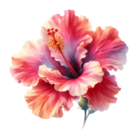 ai généré une hibiscus fleur fleurit. png