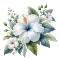 ai generiert ein Hibiskus Blume blüht. png