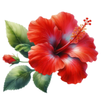 ai generiert ein Hibiskus Blume blüht. png