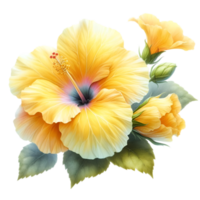 AI generated A hibiscus flower blooms. png