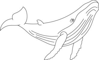 Outline Whale Clipart for Lovers of Ocean Creatures vector