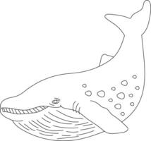 Outline Whale Clipart for Lovers of Ocean Creatures vector