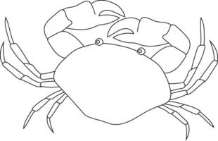 Aquatic Animal. Outline Crab Clipart vector