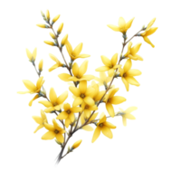 ai genererad en forsythia blomma gren skurar med ljus gul blommor png