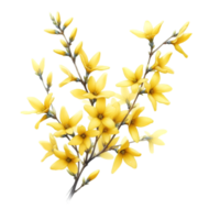 AI generated A forsythia flower branch bursts with bright yellow flowers png