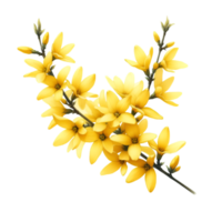 ai genererad en forsythia blomma gren skurar med ljus gul blommor png