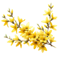 AI generated A forsythia flower branch bursts with bright yellow flowers png