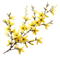 AI generated A forsythia flower branch bursts with bright yellow flowers png