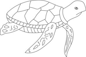 Outline Sea Turtle Clipart vector