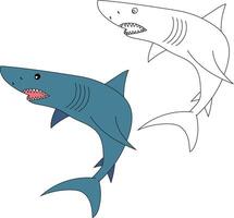 Shark Clipart Set. Colorful and Outline Sharks vector