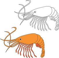 Shrimp Clipart Set Colorful and Outline Shrimps vector