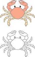 Crab Clipart Set. Colorful and Outline Crabs from The Sea Life vector