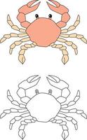 Crab Clipart Set. Colorful and Outline Crabs from The Sea Life vector