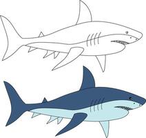 Shark Clipart Set. Colorful and Outline Sharks vector