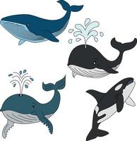 Colorful Whale Clipart Set vector