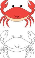 Crab Clipart Set. Colorful and Outline Crabs from The Sea Life vector