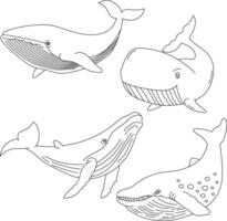 Outline Whale Clipart Set vector