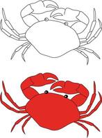 Crab Clipart Set. Colorful and Outline Crabs from The Sea Life vector