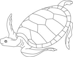 Outline Sea Turtle Clipart vector