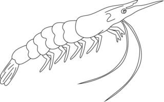 Outline Shrimp Clipart for Lovers of Marine Life vector