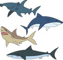 Colorful Shark Clipart Set vector