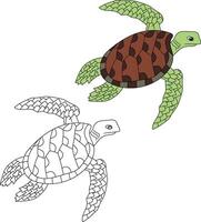 Sea Turtle Clipart Set. Outline and Colorful Turtles vector