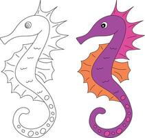 Seahorse Clipart Set. Outline and Colorful Seahorses vector