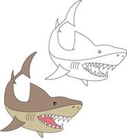 Shark Clipart Set. Colorful and Outline Sharks vector
