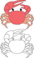 Crab Clipart Set. Colorful and Outline Crabs from The Sea Life vector