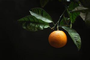 ai generado Mandarina Fruta en rama con agrios hojas, retratar frescura y madurez en un natural ajuste foto