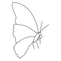 Continuous one line butterfly outline vector isolated on white background. Vector Illustration