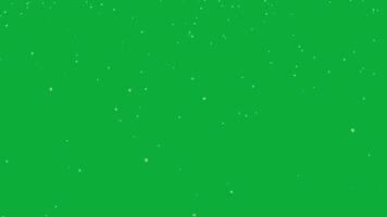 nevicata, bianca neve particella caduta lento movimento ciclo continuo animazione copertura effetto su verde schermo sfondo video