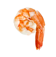 cooked shrimp isolated png