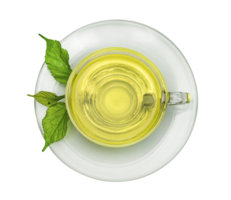 grön te med transparent kopp isolerat png