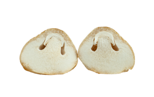 Straw mushroom sliced isolated png